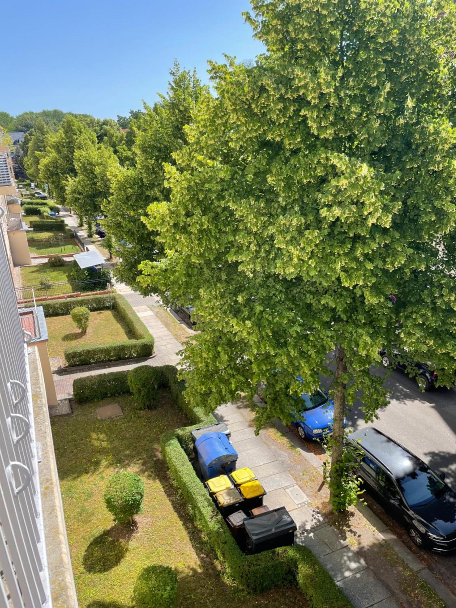 Ruhige Maisonettewohnung Auf Dem Kassberg Chemnitz Eksteriør billede